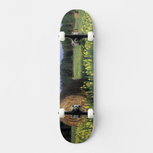 Skateboard Canada, Colombie-Britannique, Kitwanga. Jaune