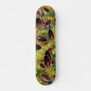 Skateboard Cancrelats