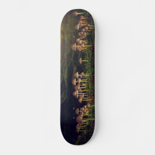 Skateboard Champignons sauvages mûrs dans la forêt