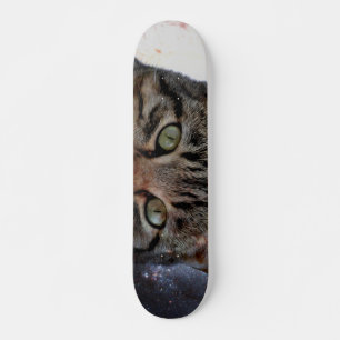 Skateboard Chat spatial