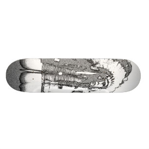 Skateboard Chef de Natif américain