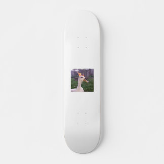 Skateboard Cheminée d'oie Patinage, 7¾ po