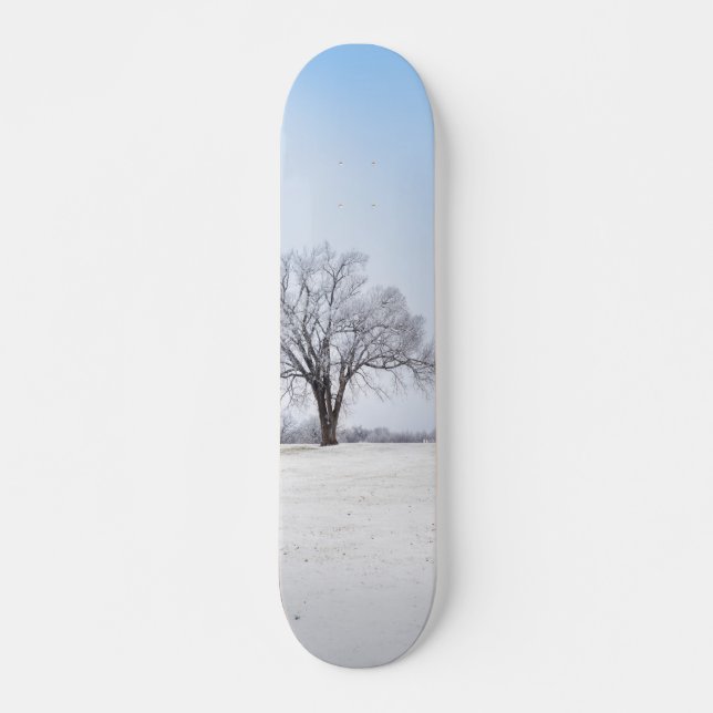 Skateboard Chêne d'hiver surligné (Devant)