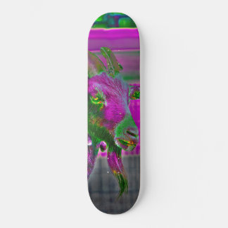 Skateboard Chèvre psycho