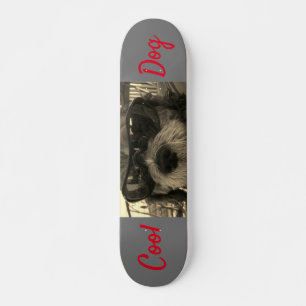 Skateboard Chien cool avec lunettes de soleil