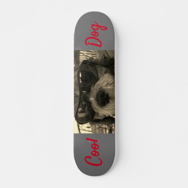 Skateboard Chien cool avec lunettes de soleil (Devant)