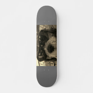 Skateboard Chien du cool Shih Tzu