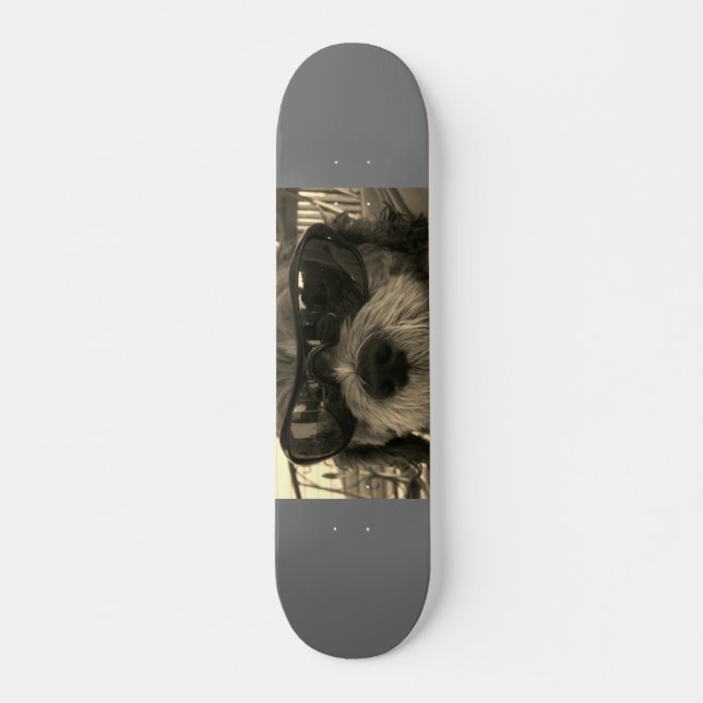 Skateboard Chien du cool Shih Tzu (Devant)