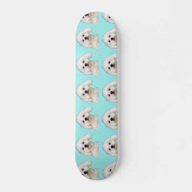 Skateboard Chien maltais (Devant)