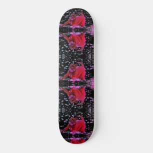 Skateboard Chiens drôles