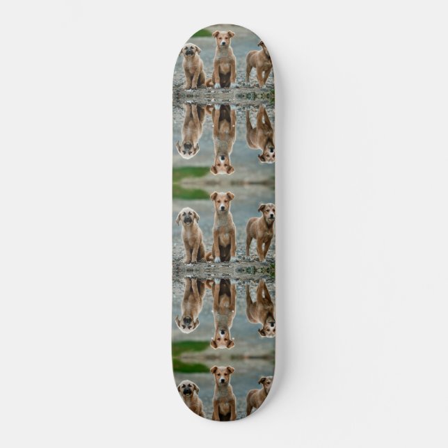 Skateboard Chiens mignons (Recto)