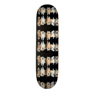 Skateboard Chiens mignons