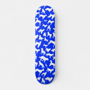 Skateboard chiens mignons