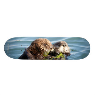 Skateboard Chiot et mère de loutre avec le varech