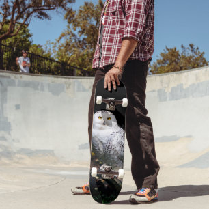 Skateboard Chouette hivernale majestueuse
