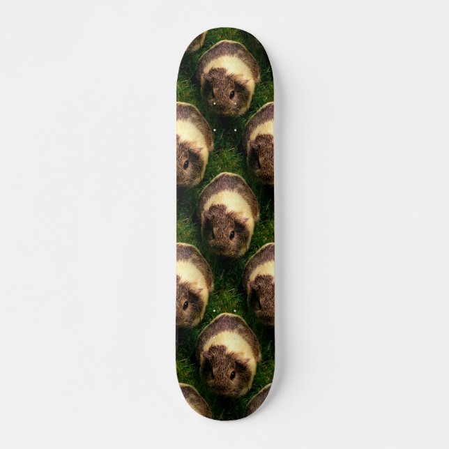 Skateboard Cochon de Guinée d'Agouti dans l'herbe (Devant)
