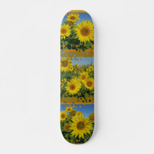Skateboard collage de tournesol dans le ciel bleu skatboard d