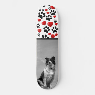 Skateboard Collie