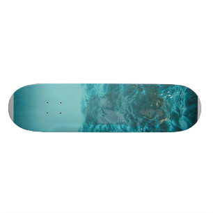 Skateboard Conception d'océan