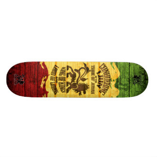 Skateboard conquête du skateboard_pro de lion (3)