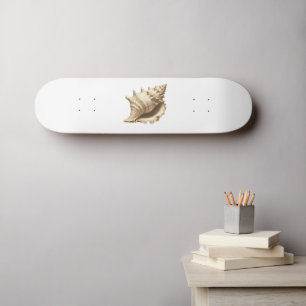 Skateboard Coteau/plage/coquillage nautique