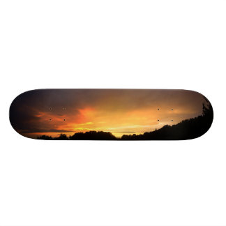 Skateboard Coucher du soleil