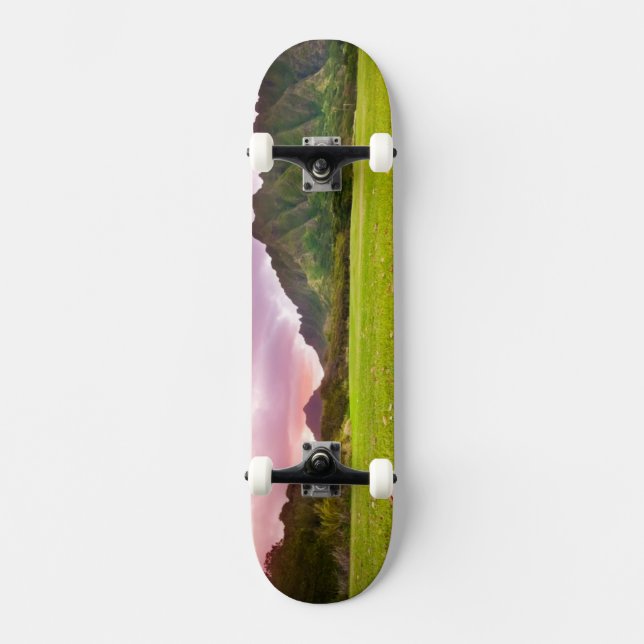 Skateboard Coucher du soleil jurassique (Recto)