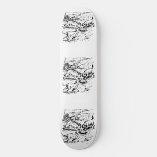 Skateboard Coyote Pups (Recto)