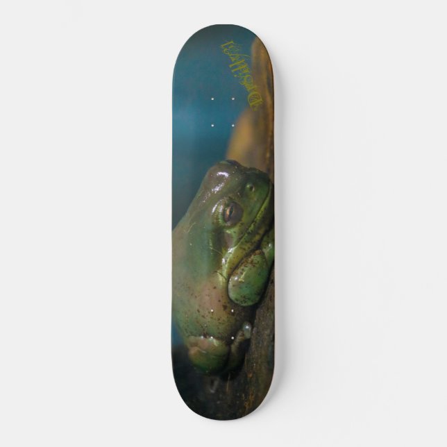 Skateboard Crapaud lapidé (Recto)