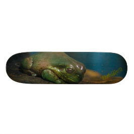 Skateboard Crapaud lapidé