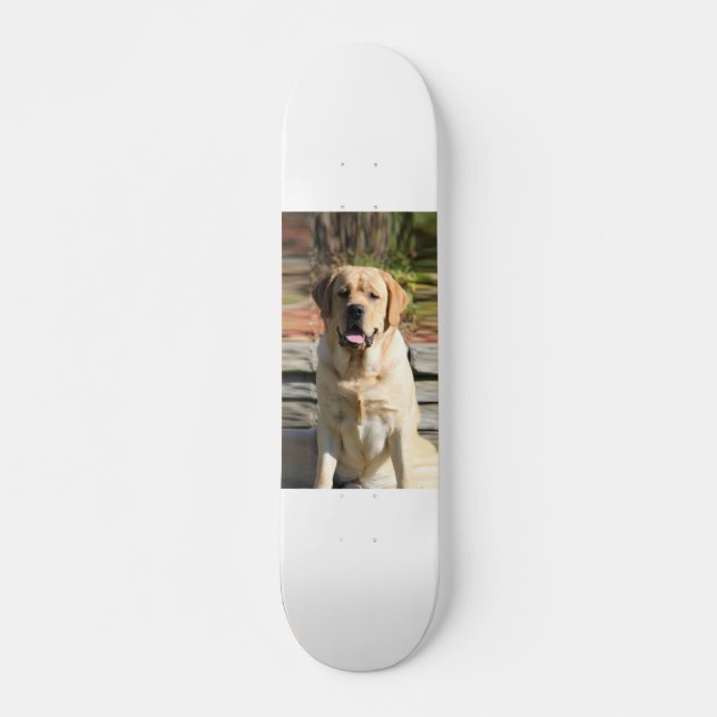 Skateboard Créez votre propre photo de chien animal de compag (Devant)