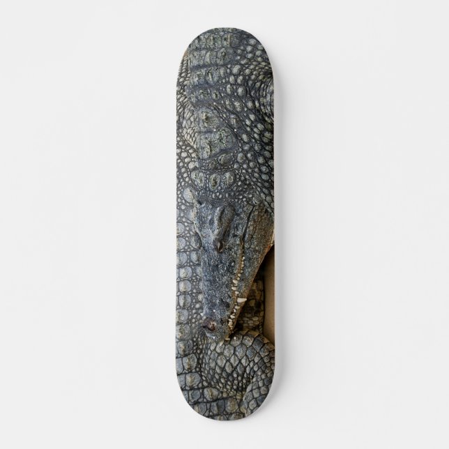 Skateboard Crocodile (Devant)
