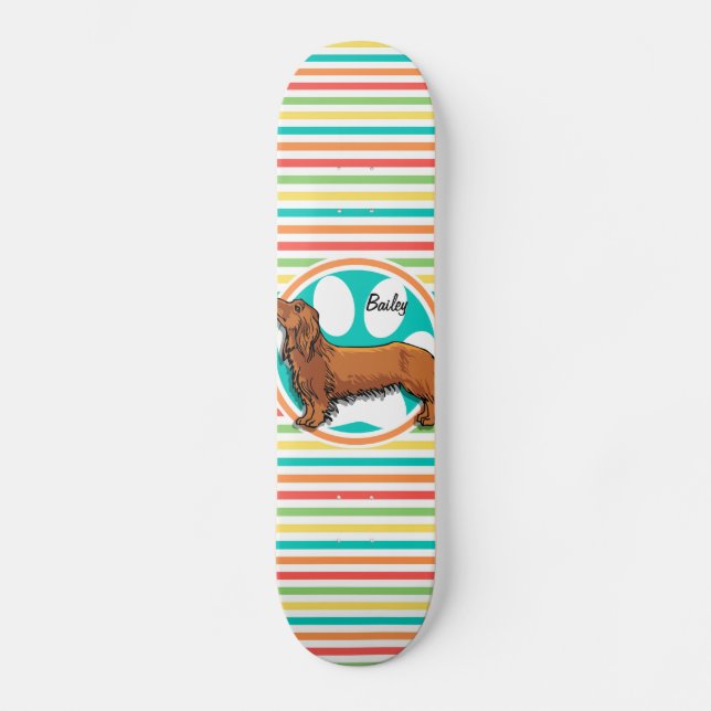 Skateboard Dachshund aux cheveux longs; Bright Rainbow Stripe (Recto)