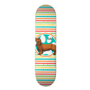 Skateboard Dachshund aux cheveux longs; Bright Rainbow Stripe