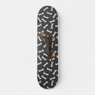 Skateboard Dachshund wiener dog