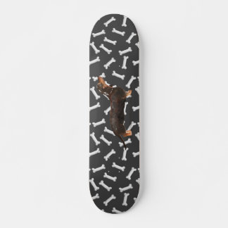Skateboard Dachshund wiener dog