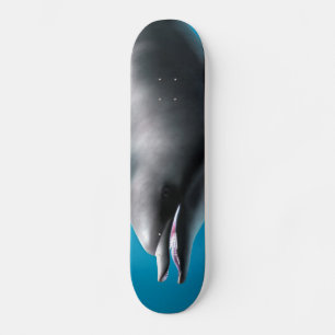 Skateboard Dauphin souriant