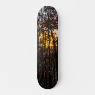 Skateboard DDC Woody Sunset