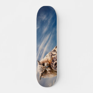 Skateboard de la chouette