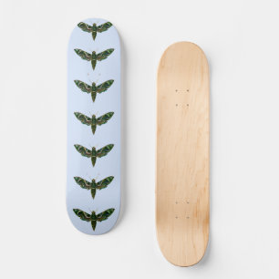 Skateboard Deilephila Nerii - Oleander Hawk-Moth