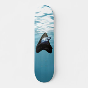 Skateboard dent de requin