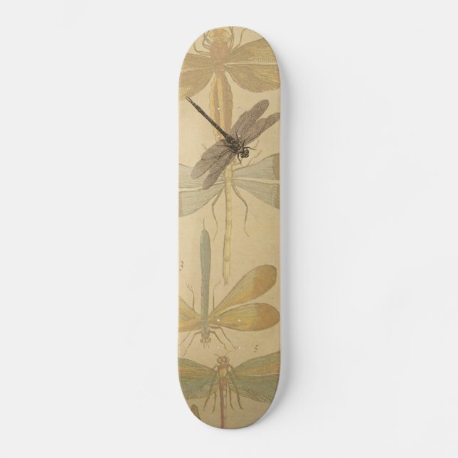 Skateboard Dragonfly Vintage dessin classique (Recto)