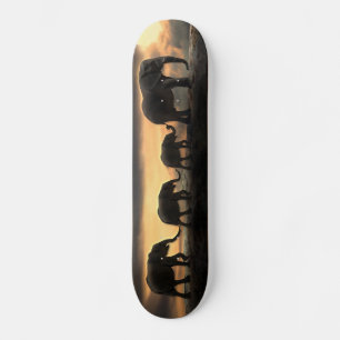Skateboard Eléphant sur le pont naturel
