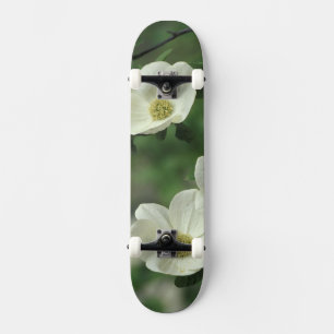 Skateboard États-Unis, Californie, Parc national de Yosemite,