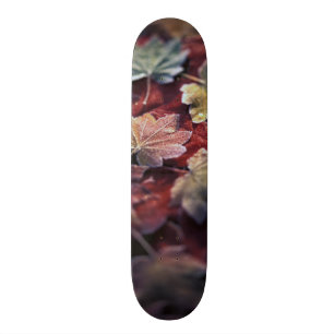 Skateboard États-Unis, Pacifique Nord-Ouest. feuille d'érable