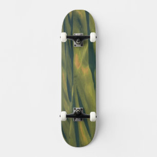 Skateboard États-Unis, WA, comté de Whitman, champs de ferme