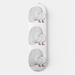 Skateboard Fantail Pigeon White