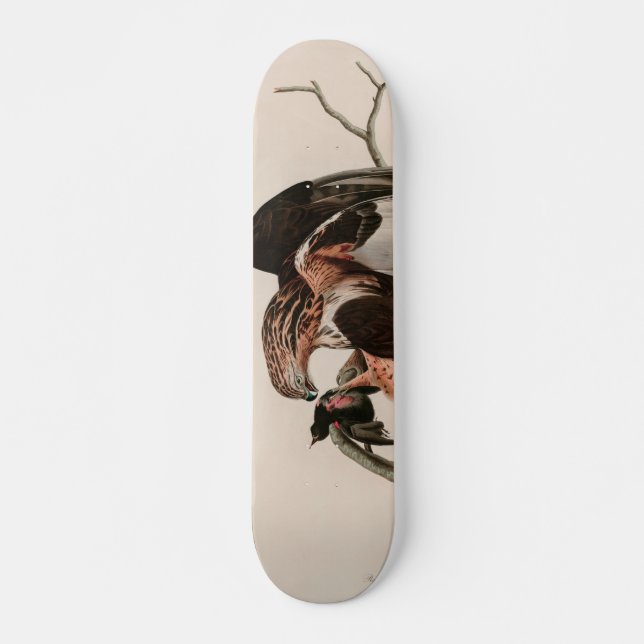 Skateboard Faucon à pattes rousses d'Amérique Audubon Imprime (Devant)