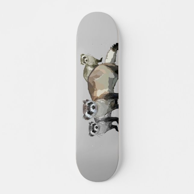 Skateboard Ferrets (Devant)