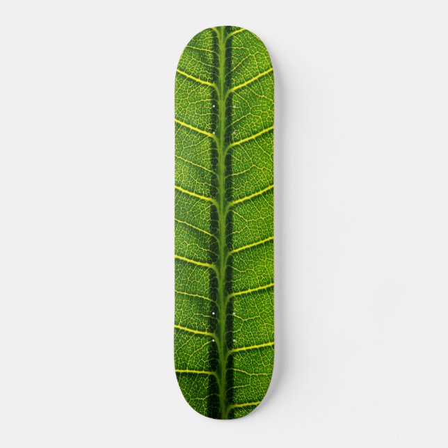 Skateboard Feuille (Recto)